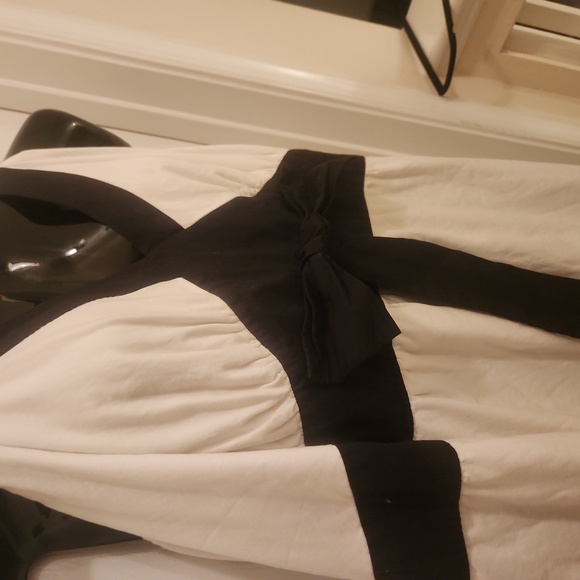 Torrid Embroidery and Toile Bottom Flutter Hemline Dress - Picture 4 of 8